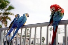 1995-USA-Südwest-012