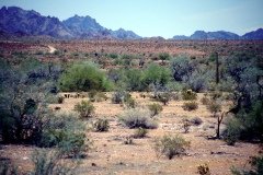 1995-USA-Südwest-036