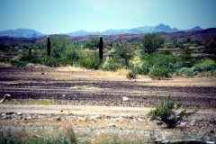 1995-USA-Südwest-044