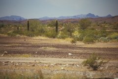 1995-USA-Südwest-045