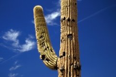 1995-USA-Südwest-048