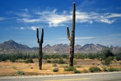 1995-USA-Südwest-049