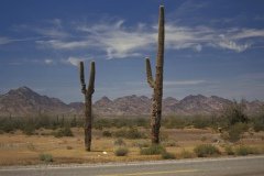 1995-USA-Südwest-050