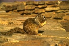 1995-USA-Südwest-074