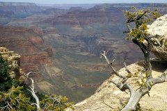 1995-USA-Südwest-079