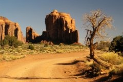 1995-USA-Südwest-143