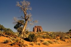 1995-USA-Südwest-144