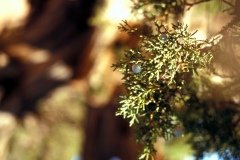 1995-USA-Südwest-145