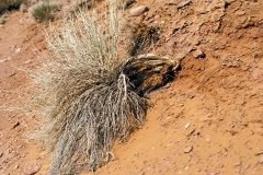 1995-USA-Südwest-158