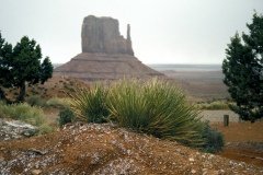 1995-USA-Südwest-164