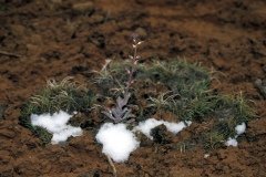 1995-USA-Südwest-176