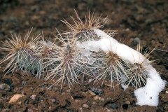 1995-USA-Südwest-178