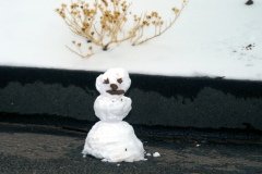 1995-USA-Südwest-179