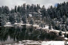 1995-USA-Südwest-197