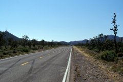 1995-USA-Südwest-226