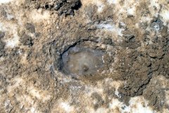 1995-USA-Südwest-232