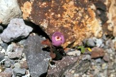 1995-USA-Südwest-238