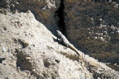 1995-USA-Südwest-247