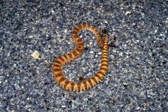 1995-USA-Südwest-254