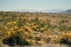 1995-USA-Südwest-268