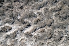 1995-USA-Südwest-272