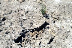 1995-USA-Südwest-273