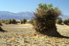 1995-USA-Südwest-281