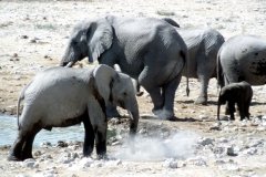 1996_97-NamZimBo-015