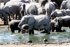 1996_97-NamZimBo-016