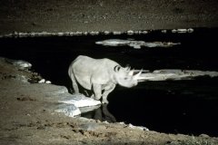 1996_97-NamZimBo-017