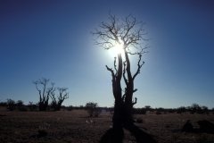 1996_97-NamZimBo-018