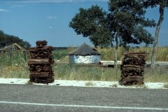 1996_97-NamZimBo-039