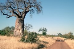 1996_97-NamZimBo-067