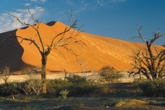 1996_97-NamZimBo-084