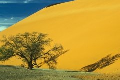 1996_97-NamZimBo-086