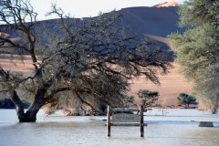 1996_97-NamZimBo-087