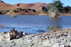 1996_97-NamZimBo-088