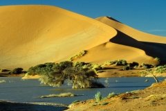 1996_97-NamZimBo-089