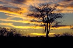 1996_97-NamZimBo-093