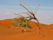 2002_12-Dubai-146