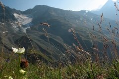 Berge_2003_08_11-60