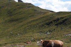 Berge_2003_08_16-07