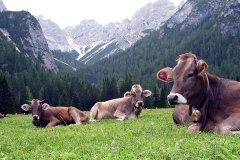 Berge_2003_08_20-26