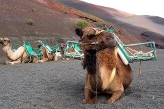 2003_04-Lanzarote-020