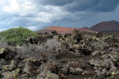 2003_04-Lanzarote-024