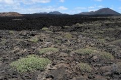 2003_04-Lanzarote-044