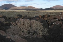 2003_04-Lanzarote-051