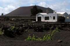 2003_04-Lanzarote-071