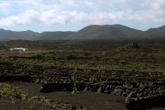 2003_04-Lanzarote-072