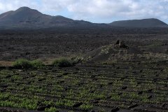 2003_04-Lanzarote-073